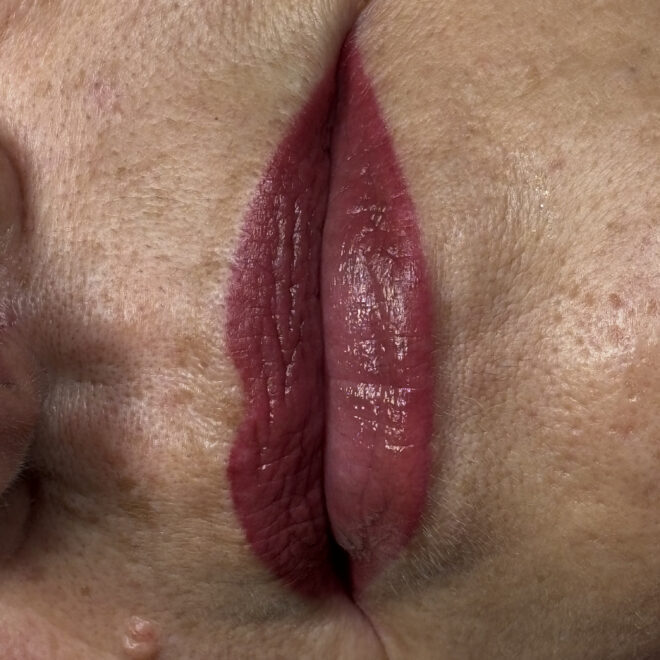 fulllipsmicropigmentacion